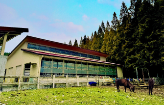 cattle barn